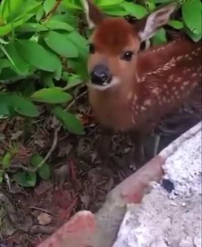 An interesting title