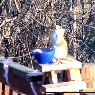 А орешки не простые...