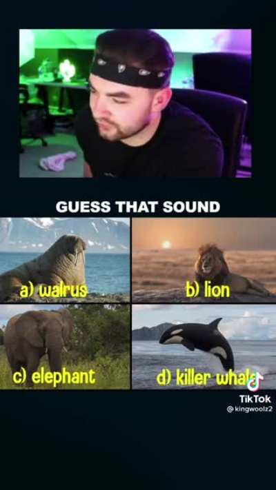 FUUUU-