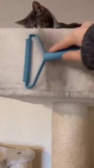 (⁠&deg;⁠ｏ⁠&deg;⁠)