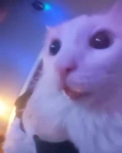 yes