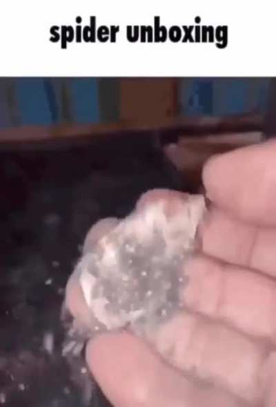 Real