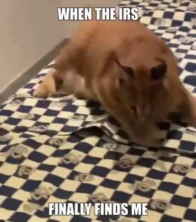 no no no nO NO NO NO NO