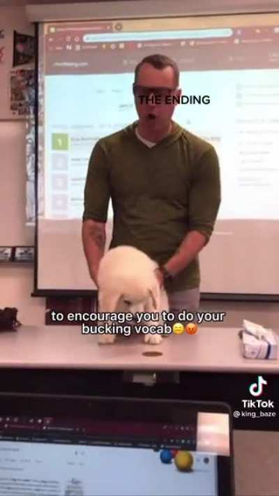 do your bucking vocab