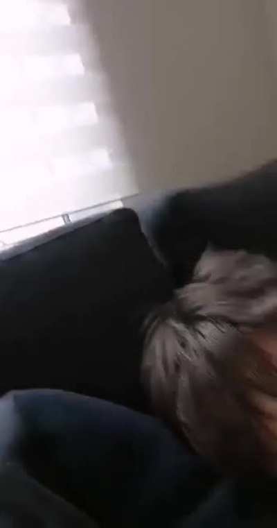 Old video I found in my gallery.