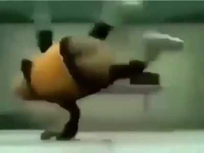 shitposting - Video #8045