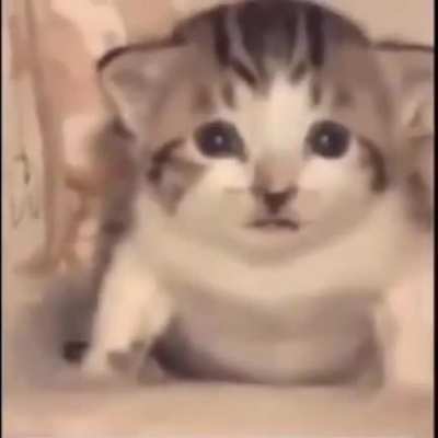 Sensitive Content