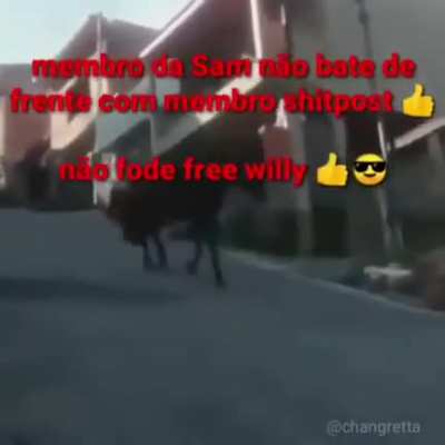 Gordola sendo gordola