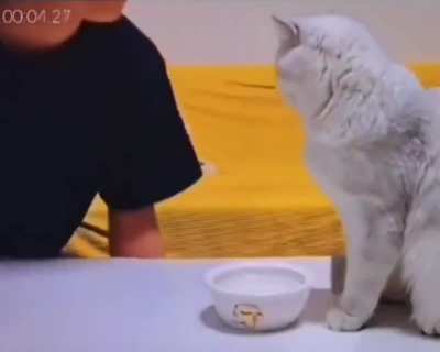 Try to break me, hooman?!