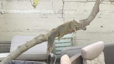 If it&rsquo;s hot out, this is where you will find Sammy. Hangin&rsquo; around.