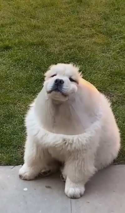 Someone looks like they&rsquo;ve been playing with the funnel in the backyard
