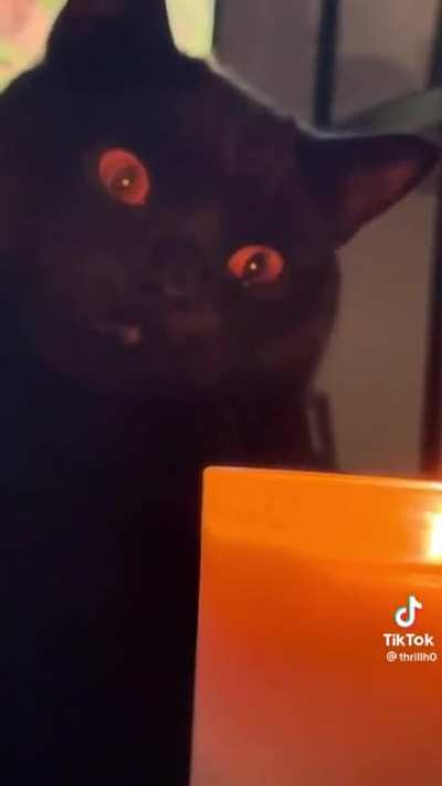 Telivdo is Sauron&rsquo;s fursona. No I will not be taking constructive criticism I&rsquo;m right deal with it.