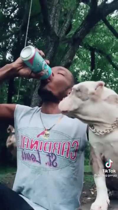 dog off them yercs