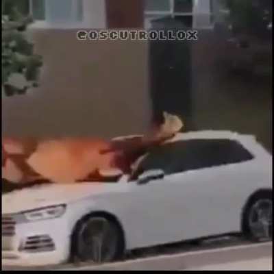 No Juan!