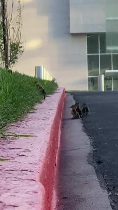 I hope this is no repost.