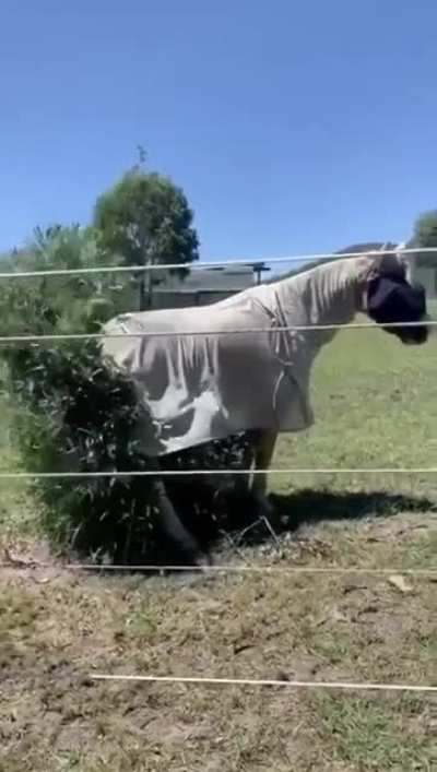 That&rsquo;s the spot