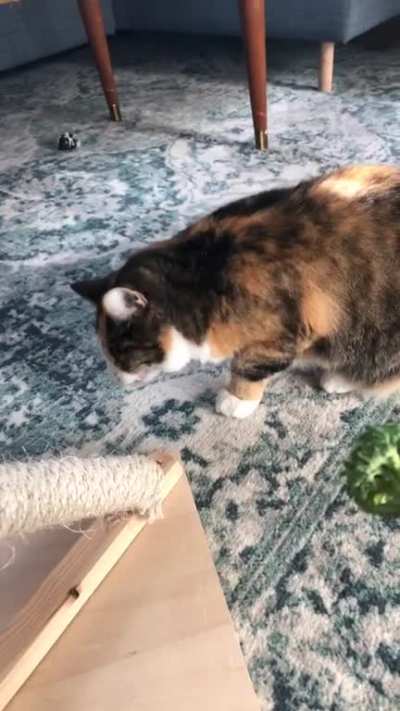 Broccoli?