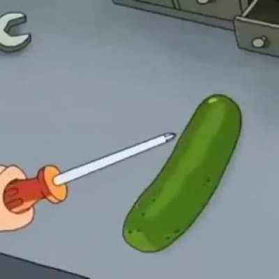 flip the picle morty