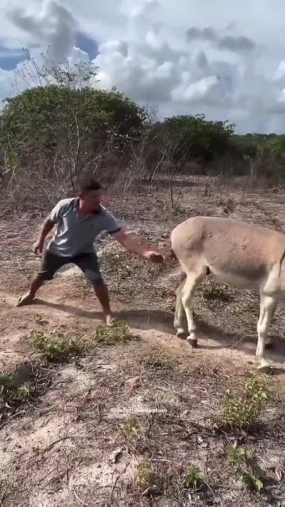 My revenge people need me 