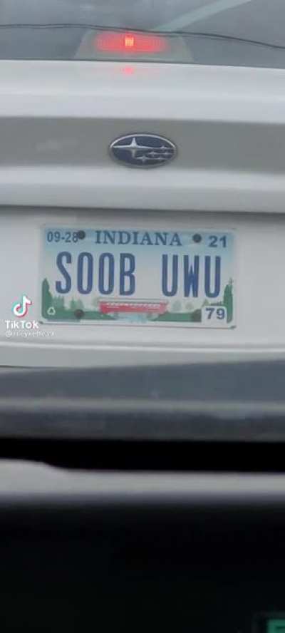 Car_irl