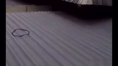 A &ldquo;trip&rdquo; to deaths door