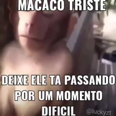 MUCA TRISTE :(