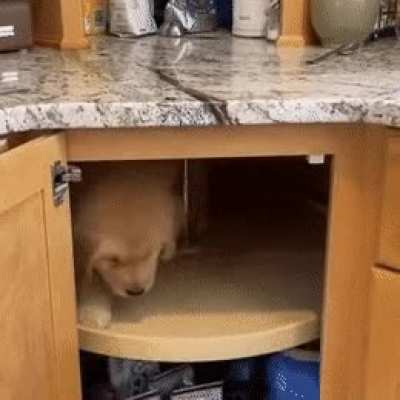 Mistakes were made
