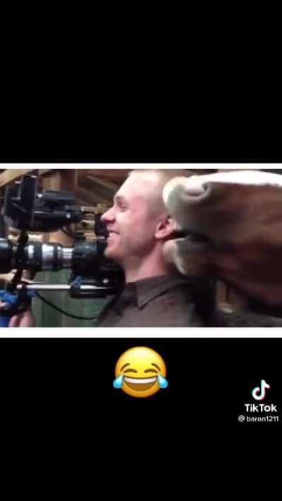 Genuine professionalism from the camera man
