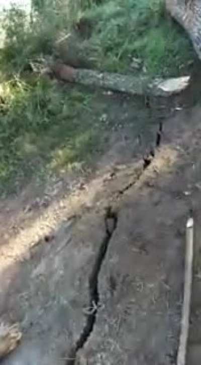 Menos mal que no pusieron el asado, hubiera sido una catástrofe.