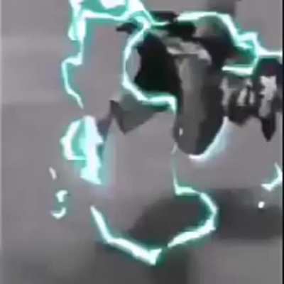Electric chicken