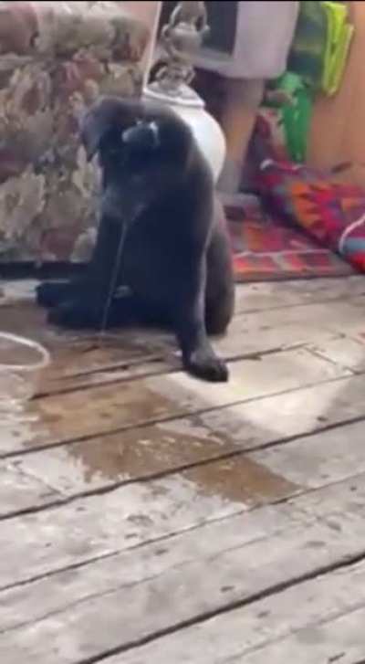 To have a drink