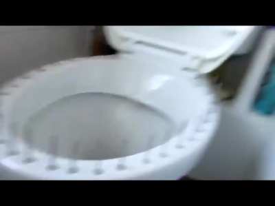 &ldquo;Pranks&rdquo; nowadays be like