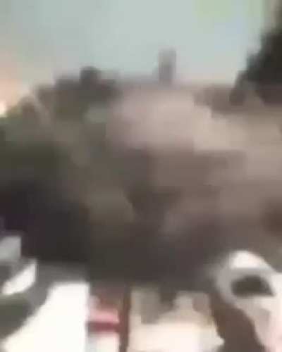 Blursed_Crab