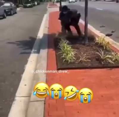 Should not have ran