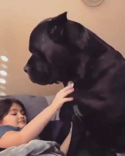 of Gentle Giant