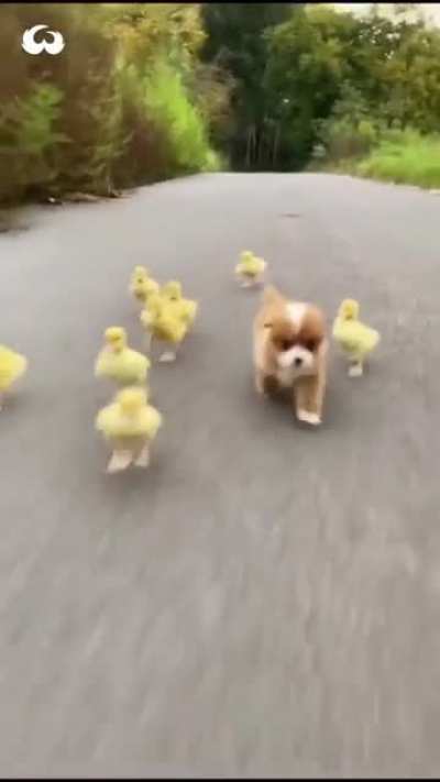 Cute, Cute, CUTE!