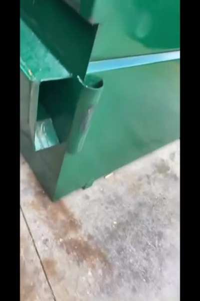 Trash pandas