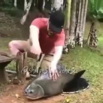 For little &acirc;nus