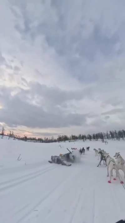 Insane dog sled moment: one woman grips her runaway sled for dear life as the dogs bolt, then her competitor jumps off her own sled mid-race to grab the lines and save her. Gutsy move by her competitor to jump off and help her stop her dogs.