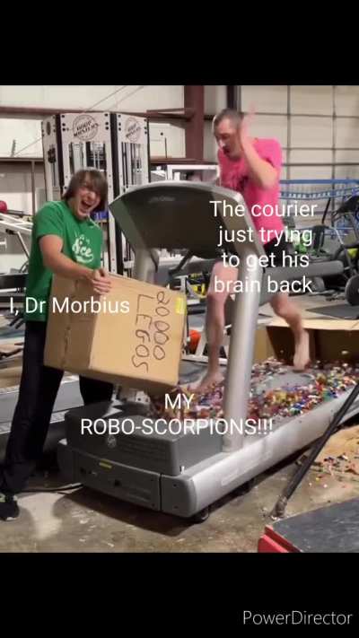 Sting Them Until They Are Stupid! 