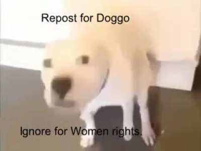 You must