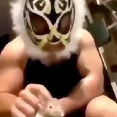 animal