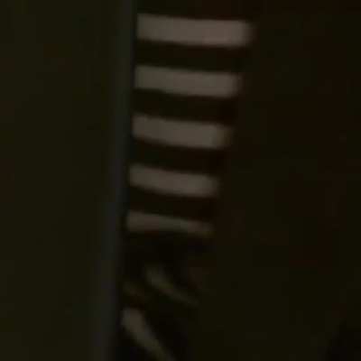 rickroll - Video #0230