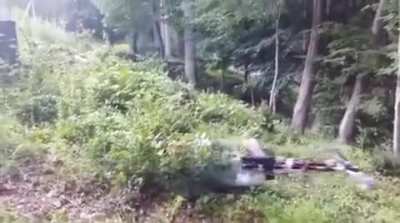 Drone with a gun