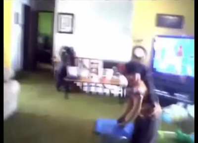 BONK, BONK, BONK