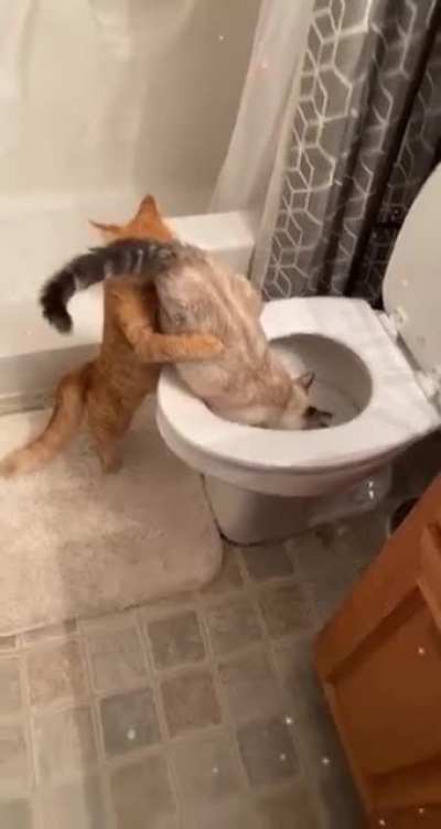 Wunkus freakus