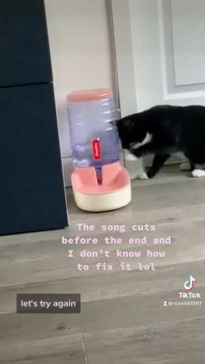 Made my first TikTok. I&rsquo;m not great with making videos but I tried my best lol