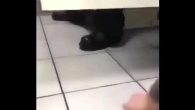 hEy!?