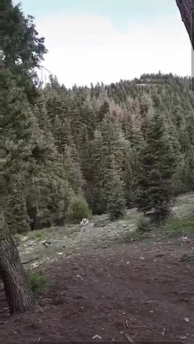 Forgot to test that rope.