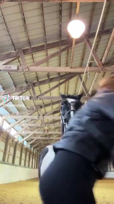 @emmybre___ - what horse